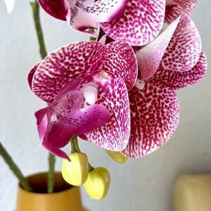 Realistic 22.5" Artificial Flowers Speckled Purple Phalaenopsis Moth Orchid Stem